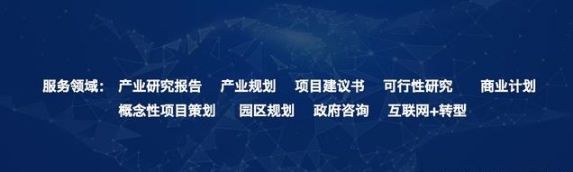 互聯(lián)網+大健康項目商業(yè)計劃書模板 商業(yè)計劃書 第1張